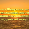 Фамилия Шелухина: история происхождения, значение и правильное склонение — подробный обзор.