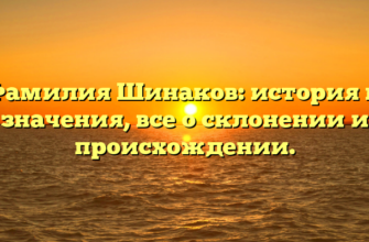 Фамилия Шинаков: история и значения, все о склонении и происхождении.