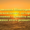 Фамилия Шингирей: происхождение, история и значение — узнайте все о склонении этого редкого рода