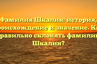 Фамилия Шкалин: история, происхождение и значение. Как правильно склонять фамилию Шкалин?