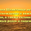 Фамилия Шляхтенко: история, происхождение и важность фамилии, а также склонение для разных родов и падежей.