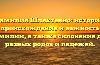 Фамилия Шляхтенко: история, происхождение и важность фамилии, а также склонение для разных родов и падежей.