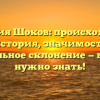 Фамилия Шоков: происхождение и история, значимость и правильное склонение — все, что нужно знать!