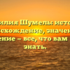 Фамилия Шумель: история, происхождение, значение и склонение — все, что вам нужно знать.