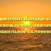 Все о фамилии Полада: история происхождения, значения и правильное склонение