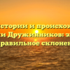 Все об истории и происхождении фамилии Дружинников: значение и правильное склонение