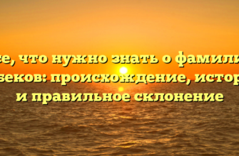 Все, что нужно знать о фамилии Кебеков: происхождение, история и правильное склонение