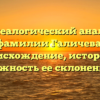 Генеалогический анализ фамилии Галичева: происхождение, история и важность ее склонения