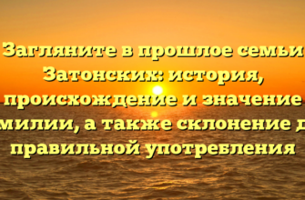 Загляните в прошлое семьи Затонских: история, происхождение и значение фамилии, а также склонение для правильной употребления