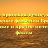 Изучаем происхождение, историю и значение фамилии Бровина: склонение и прочие интересные факты