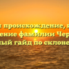 Изучаем происхождение, историю и значение фамилии Черкунов: полный гайд по склонению