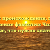 Изучаем происхождение, историю и склонение фамилии Чигвария: все, что нужно знать!