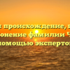 Изучаем происхождение, историю и склонение фамилии Чура с помощью экспертов