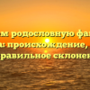 Изучаем родословную фамилии Кожаева: происхождение, история и правильное склонение