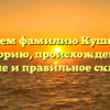 Изучаем фамилию Кушнер: ее историю, происхождение, значение и правильное склонение