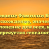 Исследование Фамилии Бородин: происхождение, значение и склонение для всех, кто интересуется генеалогией