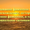 Исследование фамилии Павик: происхождение, история и значение фамилии, а также правильное склонение