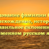 Исследование фамилии Сажко: происхождение, история и правильное склонение в современном русском языке