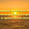 Исследование фамилии Чиргин: происхождение, интересные факты и правильное склонение