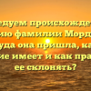 Исследуем происхождение и историю фамилии Мордвинов: откуда она пришла, какое значение имеет и как правильно ее склонять?