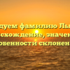 Исследуем фамилию Лыбанев: происхождение, значение и особенности склонения