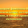 Исследуем фамилию Найс: происхождение, история и значение, а также правильное склонение