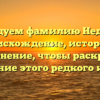 Исследуем фамилию Неделяев: происхождение, история и склонение, чтобы раскрыть значение этого редкого имени