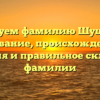 Исследуем фамилию Шушанянц: основание, происхождение, значения и правильное склонение фамилии