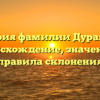 История фамилии Дурацкий: происхождение, значения и правила склонения