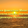 История фамилии Мингалиев: происхождение, значения и примеры склонения