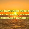 История фамилии Мисюкевич: происхождение, значение и правильное склонение