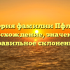 История фамилии Пфлаум: происхождение, значения и правильное склонение