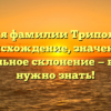 История фамилии Трипольский: происхождение, значение и правильное склонение — все, что нужно знать!