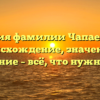 История фамилии Чапаевский: происхождение, значение и склонение – всё, что нужно знать