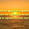 Основные факты о фамилии Мамутов: происхождение, история и правильное склонение