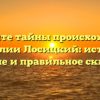 Откройте тайны происхождения фамилии Лосицкий: история, значение и правильное склонение