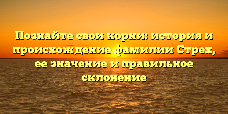 Познайте свои корни: история и происхождение фамилии Стрех, ее значение и правильное склонение