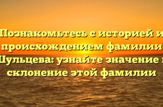 Познакомьтесь с историей и происхождением фамилии Шульцева: узнайте значение и склонение этой фамилии