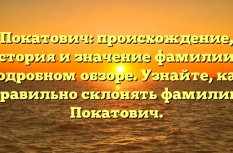 Покатович: происхождение, история и значение фамилии в подробном обзоре. Узнайте, как правильно склонять фамилию Покатович.