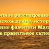 Полное расследование: происхождение, история и значение фамилии Малиев, а также правильное склонение