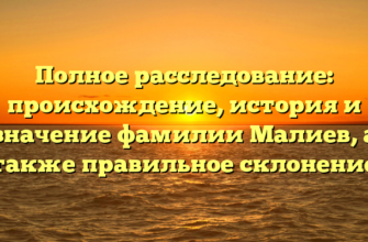 Полное расследование: происхождение, история и значение фамилии Малиев, а также правильное склонение