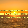 Происхождение и значение фамилии Кутакова: интересные факты и правильное склонение