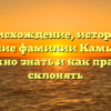 Происхождение, история и значение фамилии Камык: всё, что нужно знать и как правильно склонять