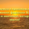 Разбираемся в происхождении и склонении фамилии Книсс: история и значение, которые вы не знали!