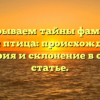 Раскрываем тайны фамилии Белая птица: происхождение, история и склонение в одной статье.