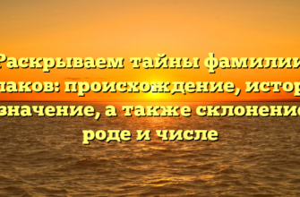 Раскрываем тайны фамилии Тулаков: происхождение, история и значение, а также склонение в роде и числе