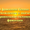 Секреты фамилии Сеппи: узнайте происхождение и значение, а также правильное склонение этой фамилии