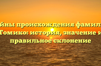 Тайны происхождения фамилии Томико: история, значение и правильное склонение