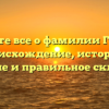 Узнайте все о фамилии Гейс: её происхождение, историю, значение и правильное склонение