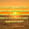 Узнайте все о фамилии Лейс: история, происхождение и значение. Как склоняется фамилия и что означает для ее носителей?